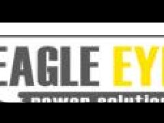美國(guó)Eagle Eye電池測(cè)試儀
